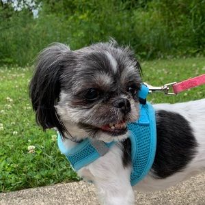 Meet your Posher, Alexandra